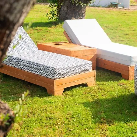 Domus Hospitality *
