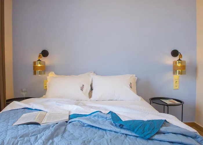 Domus Hospitality 4*