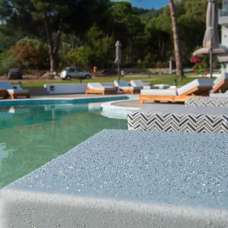 Domus Hospitality 4*