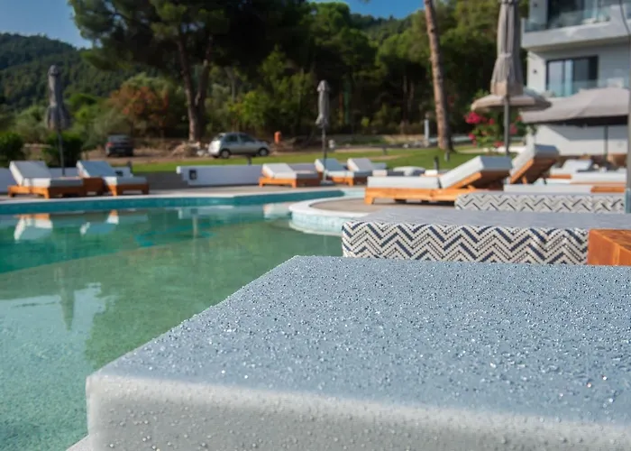 Domus Hospitality 4*