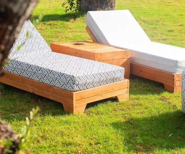 Domus Hospitality 4*